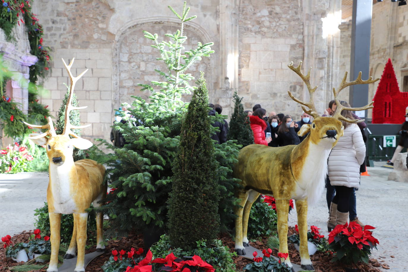 Fotos: Feria de Navidad de los floristas de Burgos