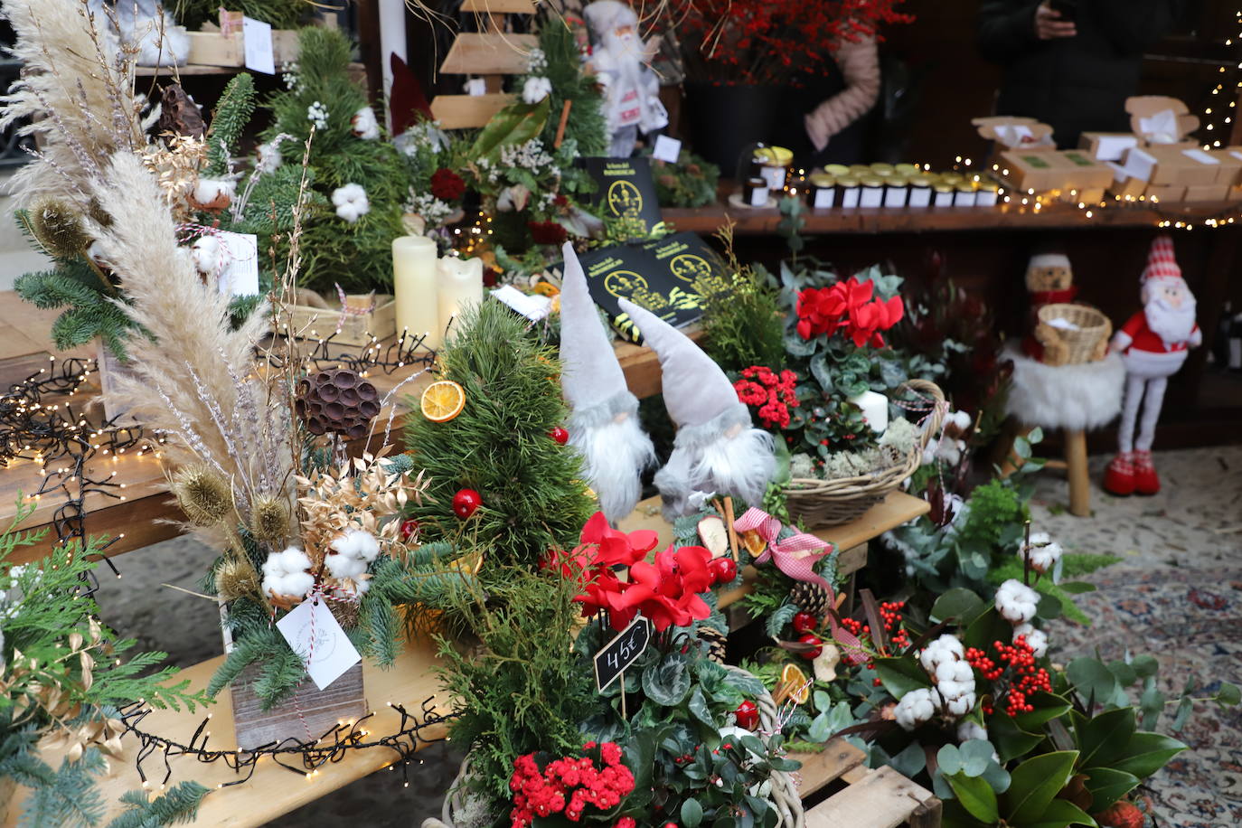 Fotos: Feria de Navidad de los floristas de Burgos