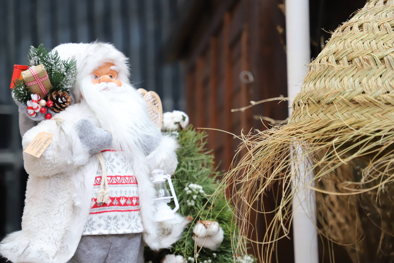 Fotos: Feria de Navidad de los floristas de Burgos