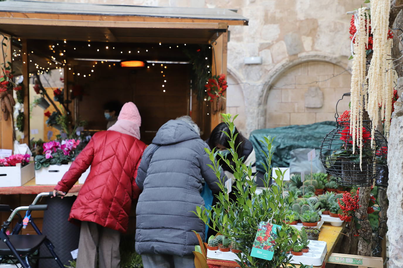 Fotos: Feria de Navidad de los floristas de Burgos