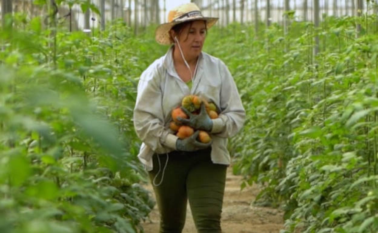 Secuencia de la película 'Mujeres rurales' 