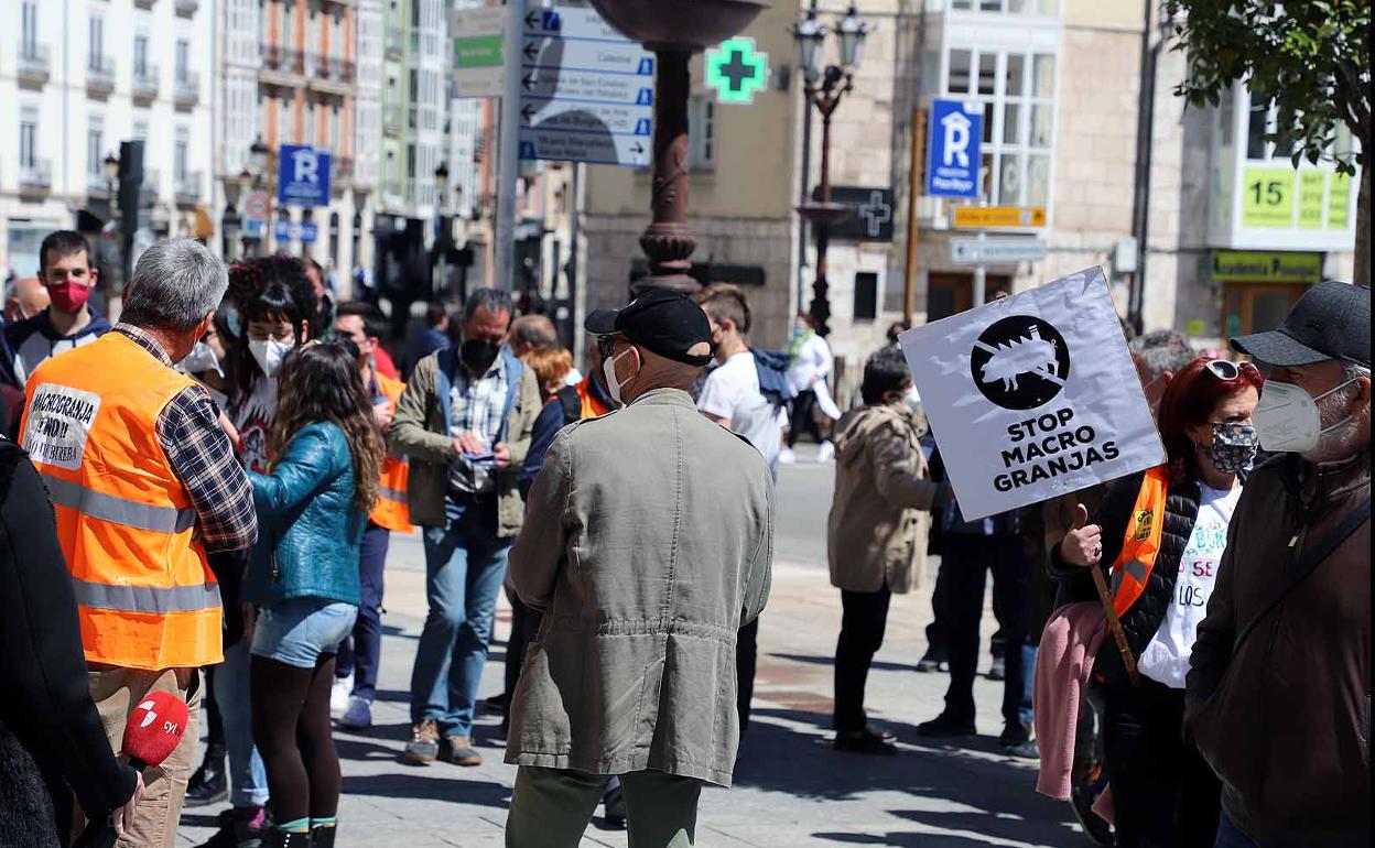 Manifestación contra las macrogranjas en Burgos. 