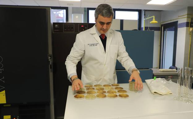 David Rodríguez-Lázaro, en la Universidad de Burgos.