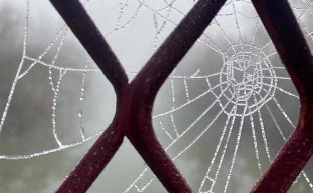 Se producirán heladas durante la madrugada en toda la provincia de Burgos.