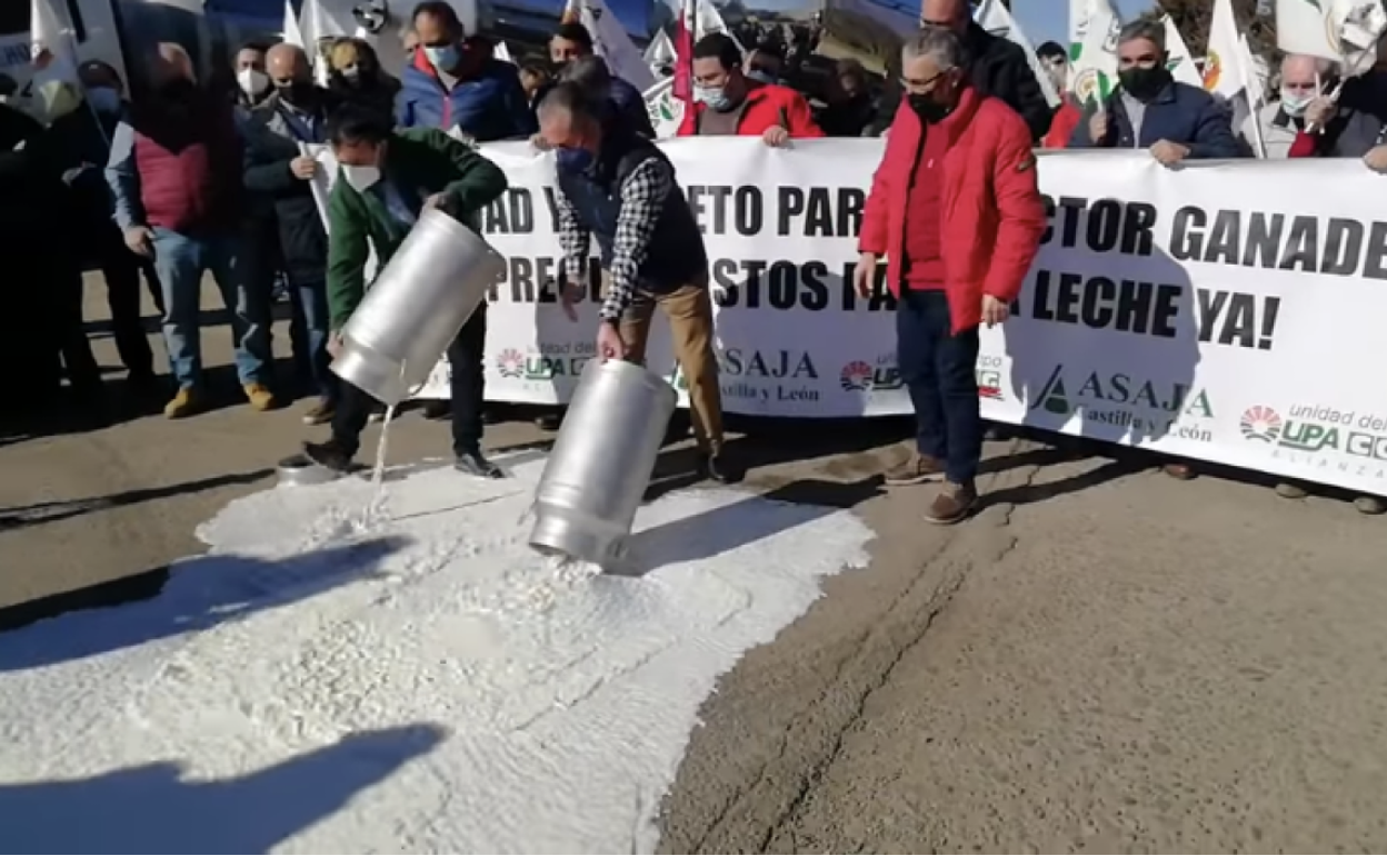 Los manifestantes han tirado varias cántaraMs de leche. 