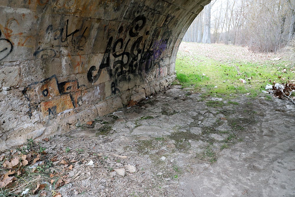 Fotos: El Puente Malatos está deteriorado y sufre vandalismo