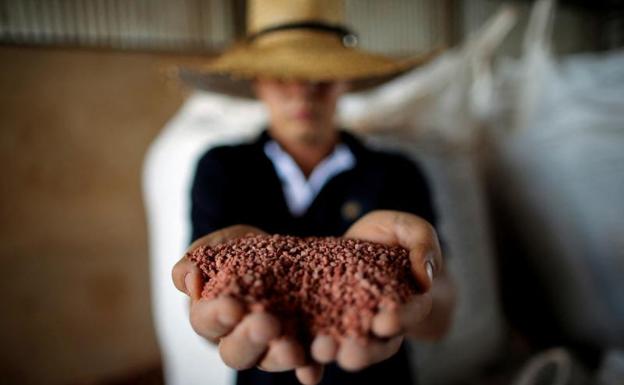 Un agricultor muestra un puñado de fertilizantes.