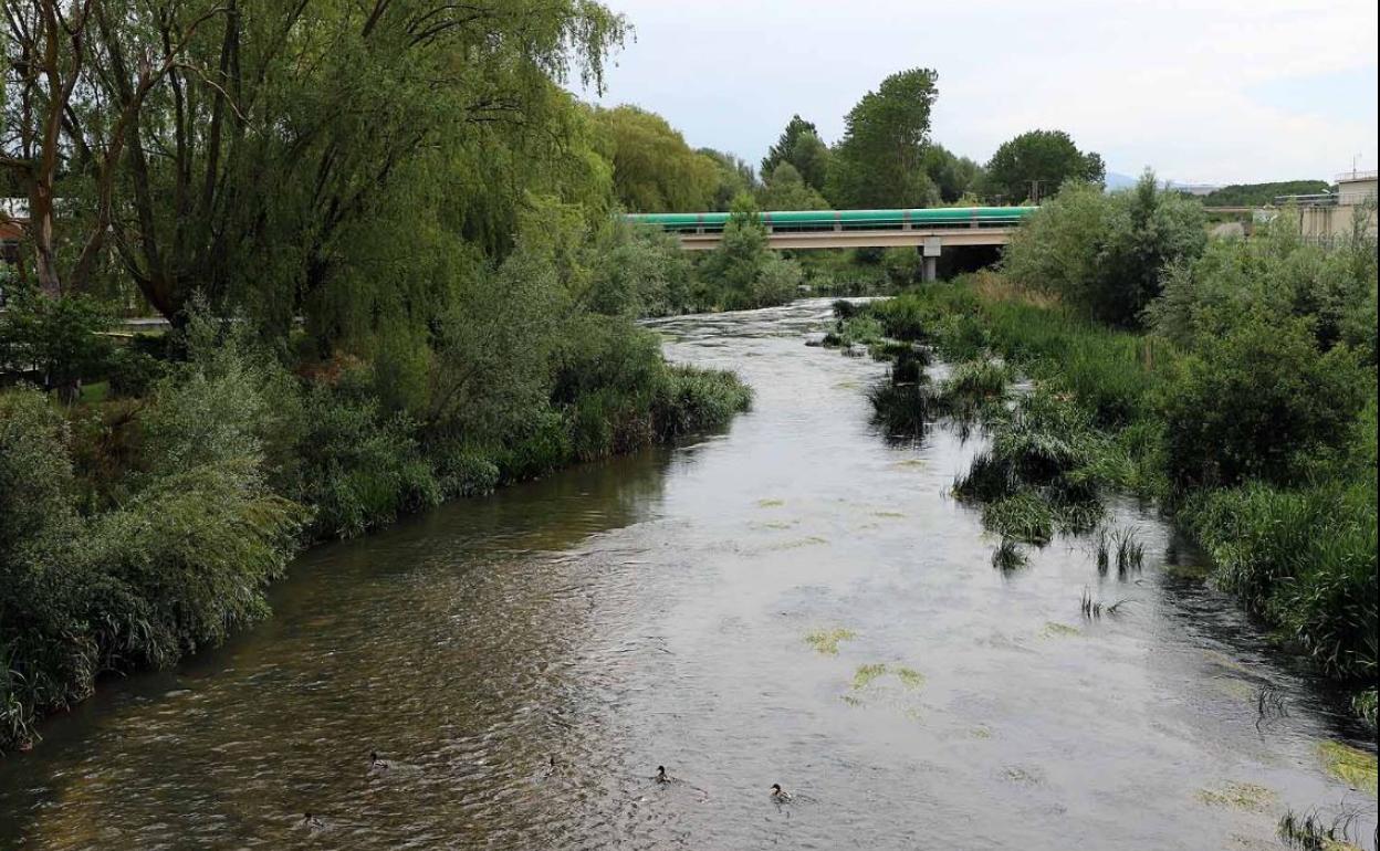 El estudio de la UBU ha analizado la presencia de patógeneos en las aguas residuales de Burgos.