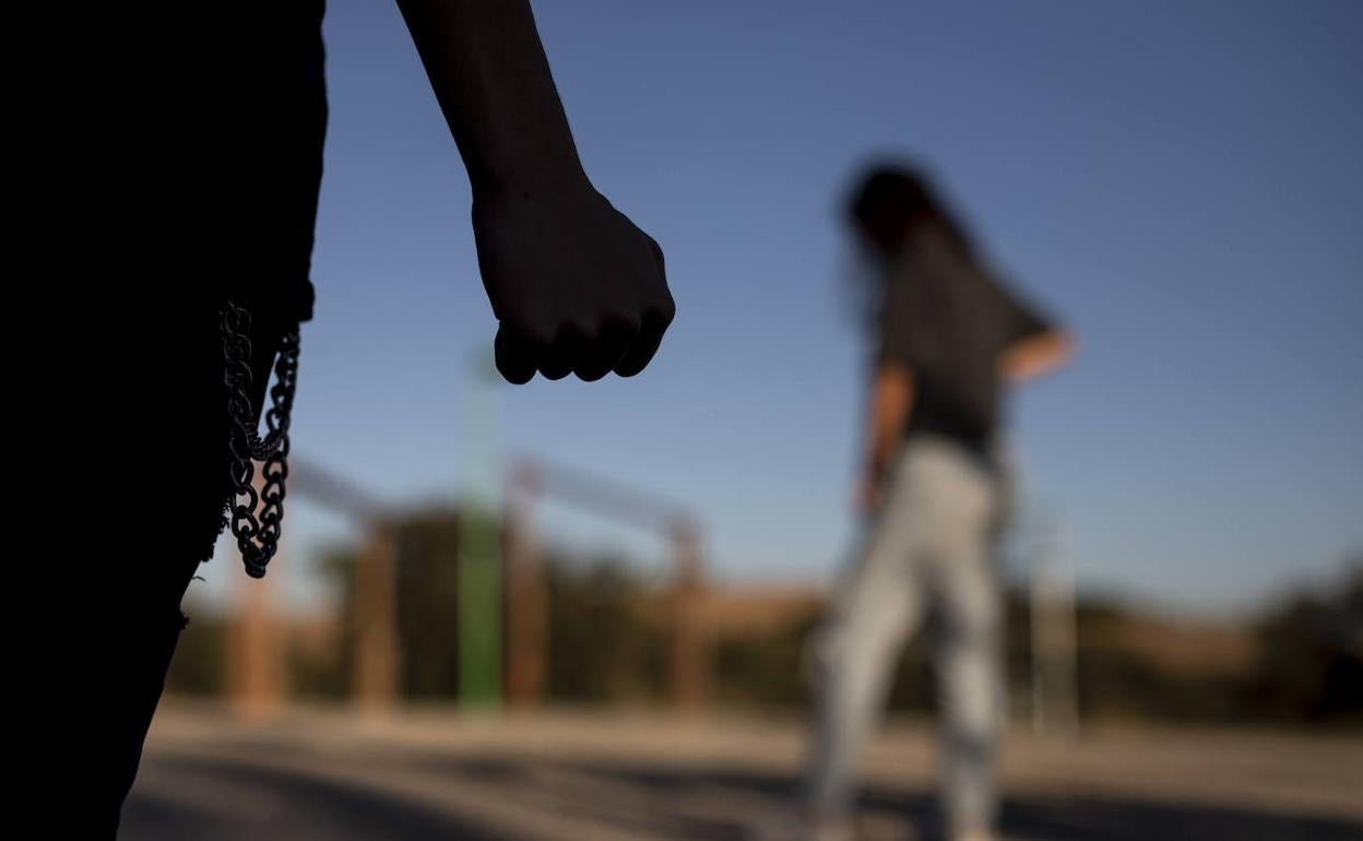 Los agentes de la Policía Local realizaron 294 gestiones en febrero en contra de la violencia de género. 