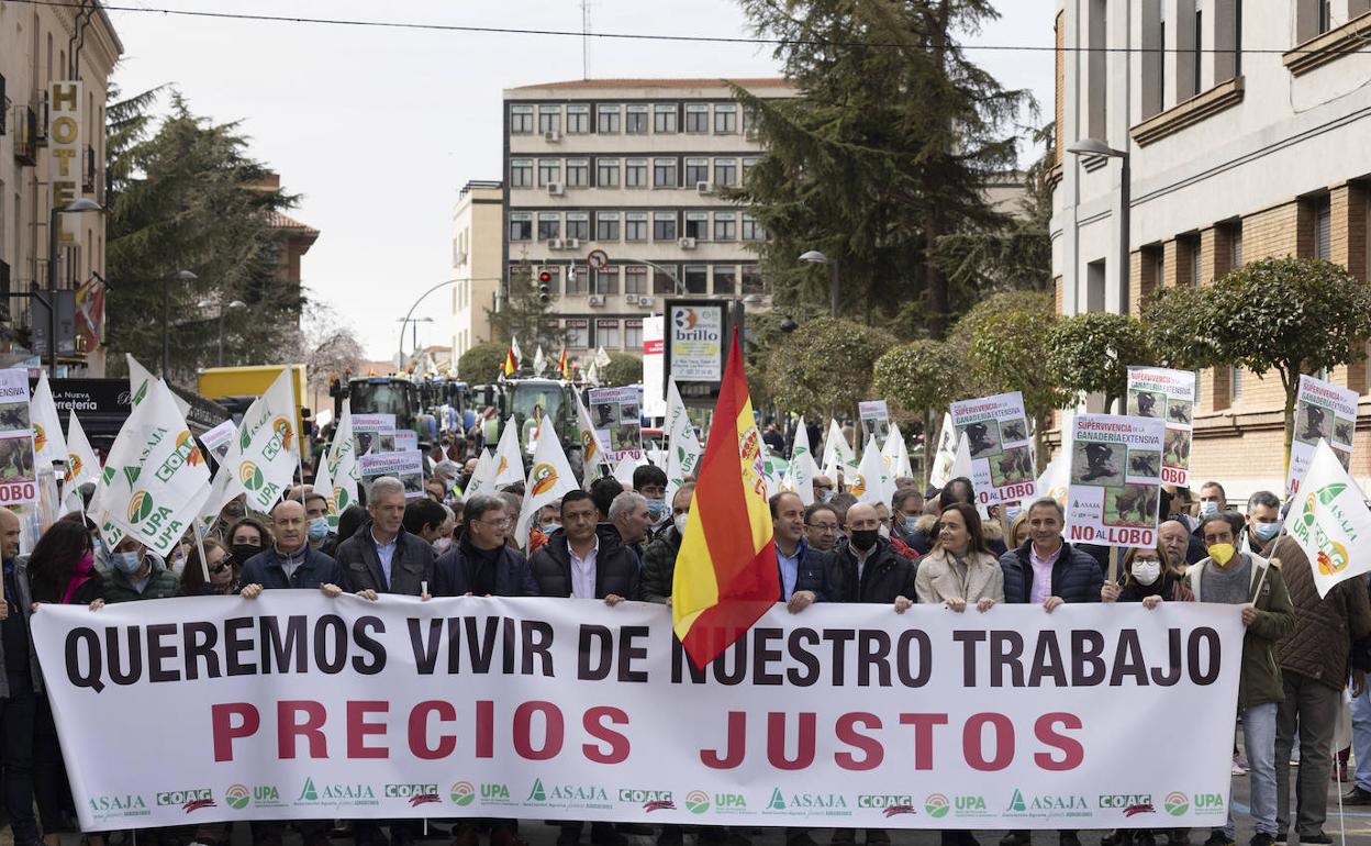 Manifestación celebrada este viernes, en Ávila. 