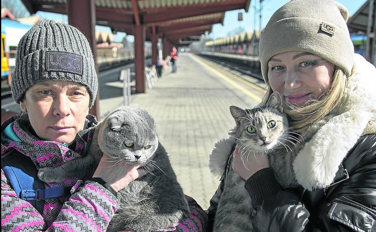 Marina y Helen arropan a sus gatos en la estación de tren de Przemysl, en Polonia, tras huir de su país. 