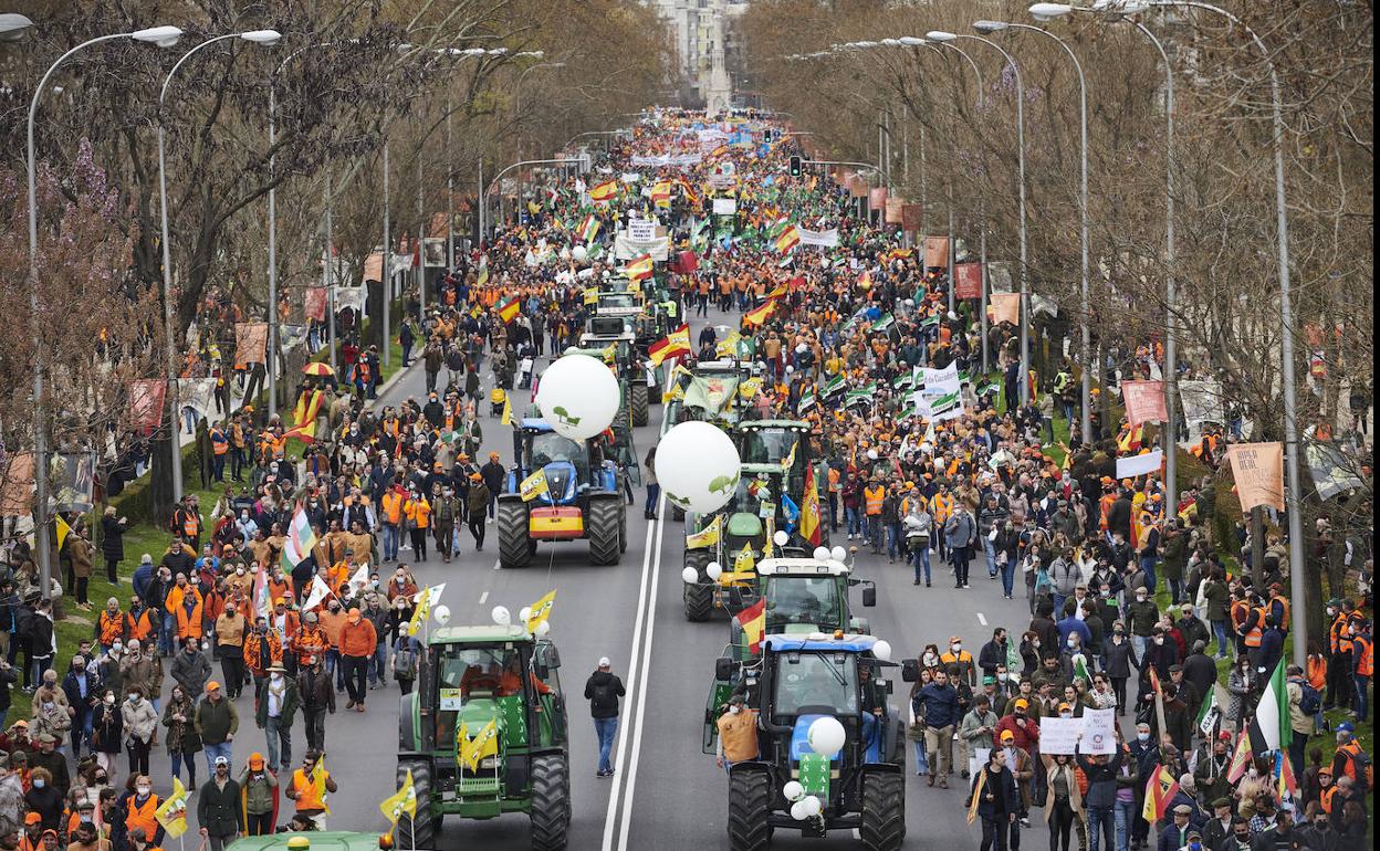 Un tramo de la manifestación del pasdo domingo en Madrid. 