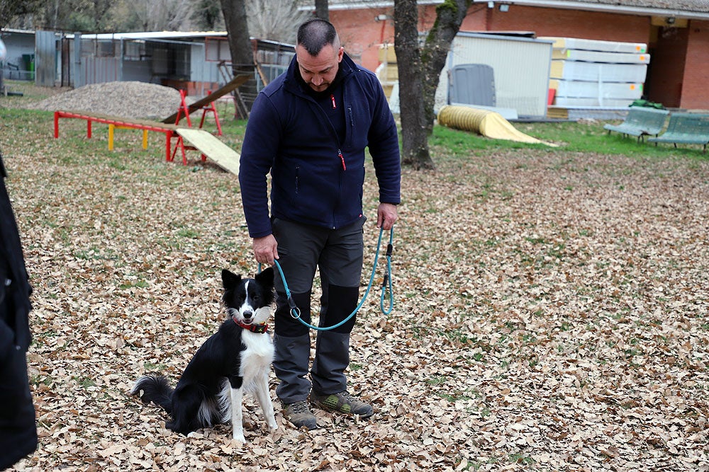 Fotos: El GREM de Burgos entrena a los nuevos perros de rescate y salvamento