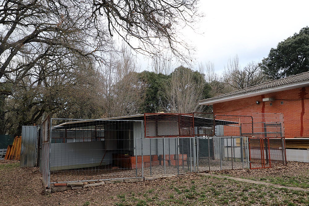 Fotos: El GREM de Burgos entrena a los nuevos perros de rescate y salvamento