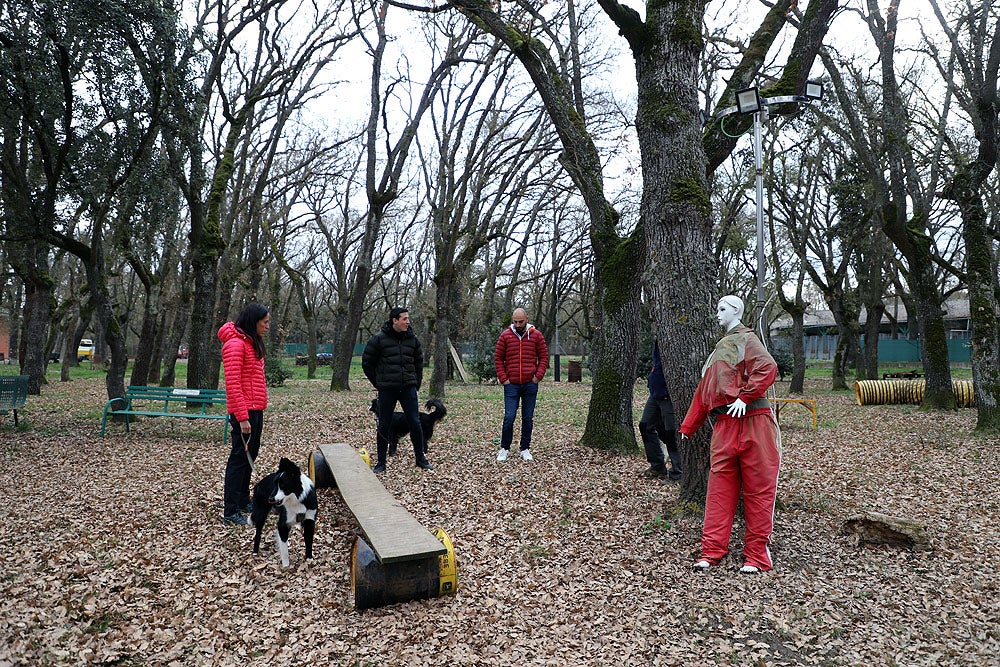 Fotos: El GREM de Burgos entrena a los nuevos perros de rescate y salvamento