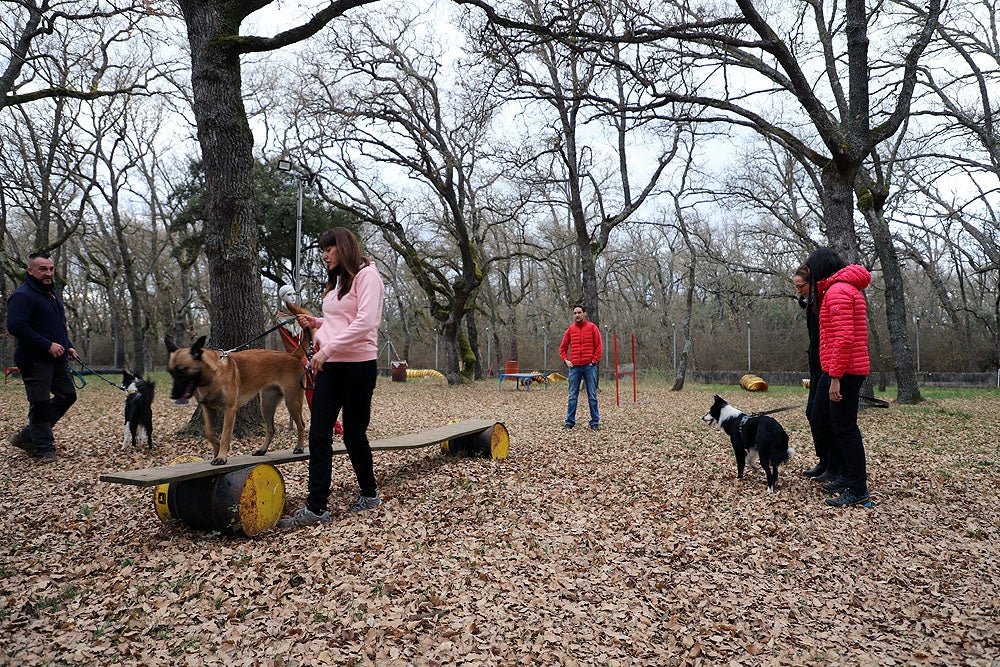 Fotos: El GREM de Burgos entrena a los nuevos perros de rescate y salvamento