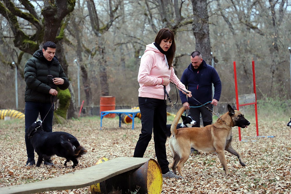 Fotos: El GREM de Burgos entrena a los nuevos perros de rescate y salvamento