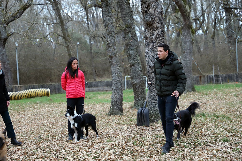 Fotos: El GREM de Burgos entrena a los nuevos perros de rescate y salvamento