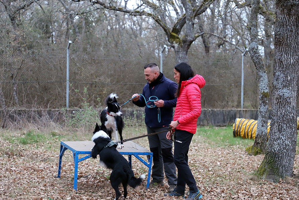 Fotos: El GREM de Burgos entrena a los nuevos perros de rescate y salvamento