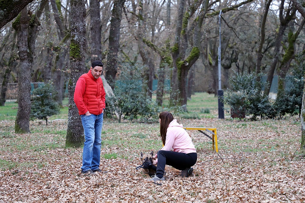 Fotos: El GREM de Burgos entrena a los nuevos perros de rescate y salvamento