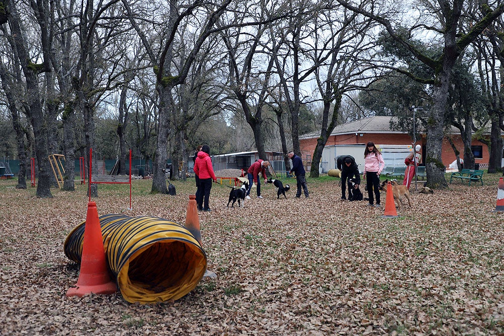 Fotos: El GREM de Burgos entrena a los nuevos perros de rescate y salvamento