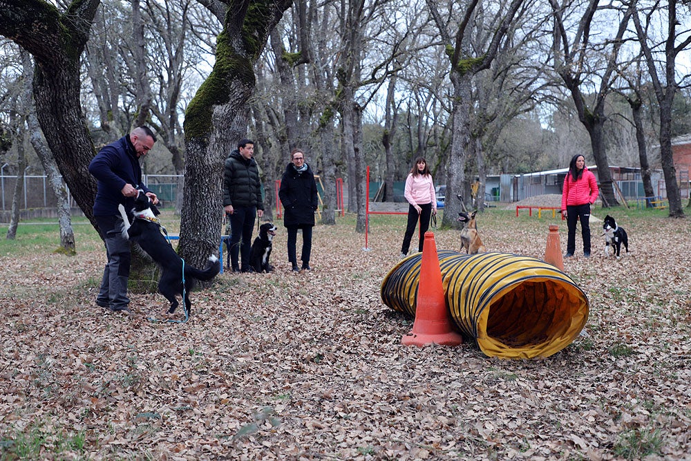 Fotos: El GREM de Burgos entrena a los nuevos perros de rescate y salvamento