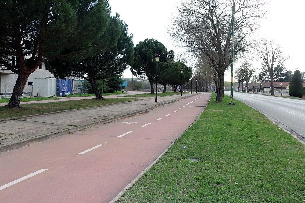 Fotos: Los vecinos de El Pilar reclaman mejoras para el barrio