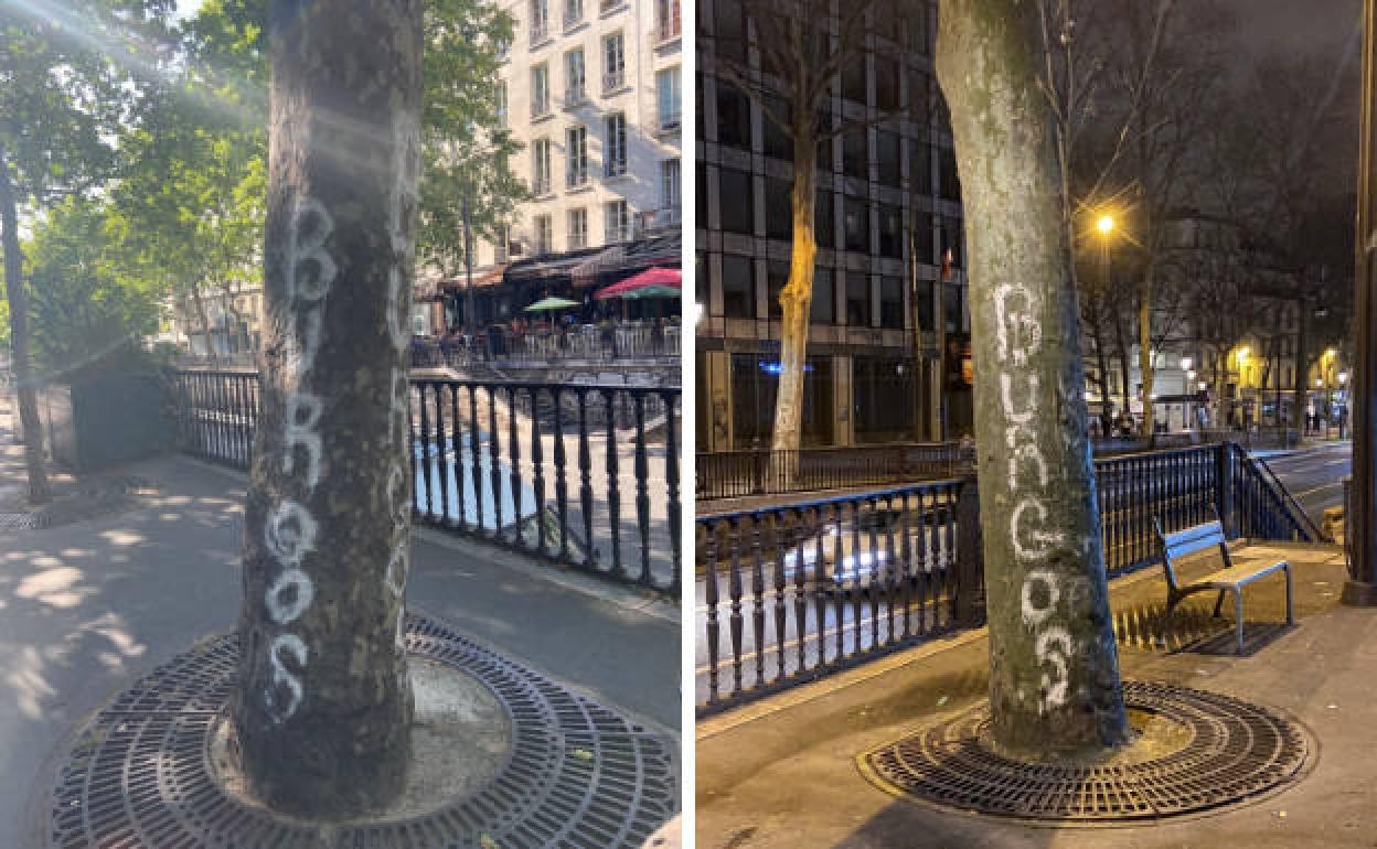 Imágenes de los árboles parisinos vandalizados con la palabras 'Burgos'