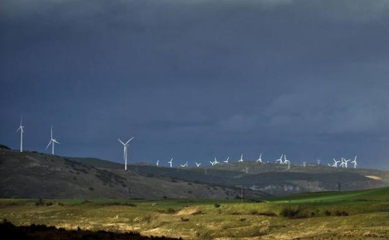 Molinos eólicos. 