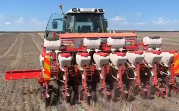 Siembra de girasol en la provincia de Zamora este fin de semana. 