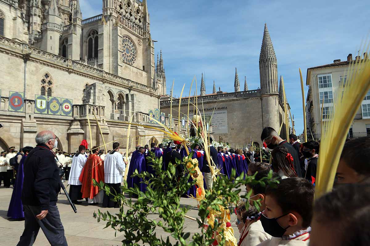 Fotos: La Borriquilla vuelve a recorrer las calles de Burgos