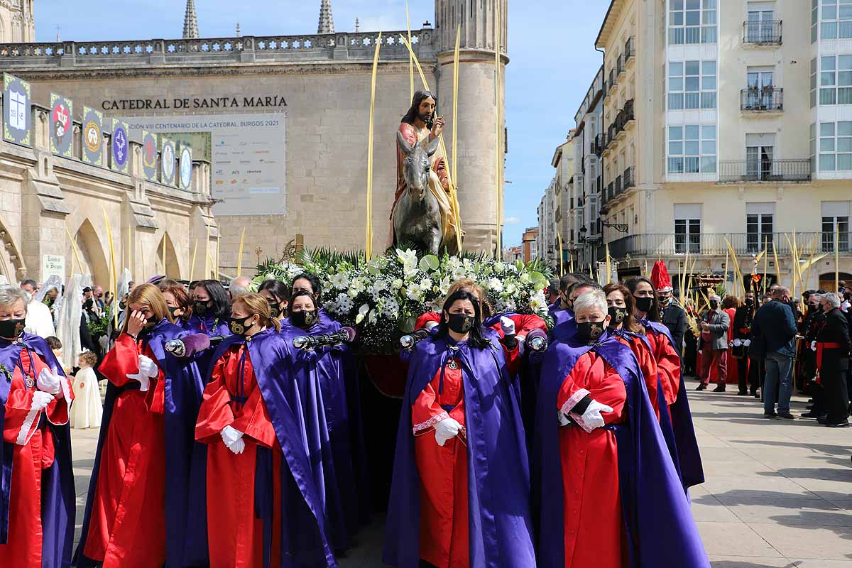 Fotos: La Borriquilla vuelve a recorrer las calles de Burgos