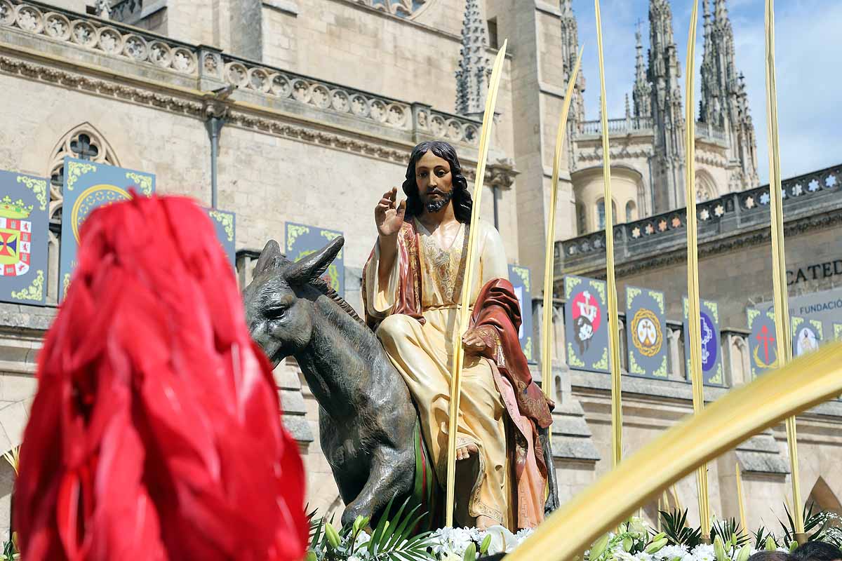 Fotos: La Borriquilla vuelve a recorrer las calles de Burgos