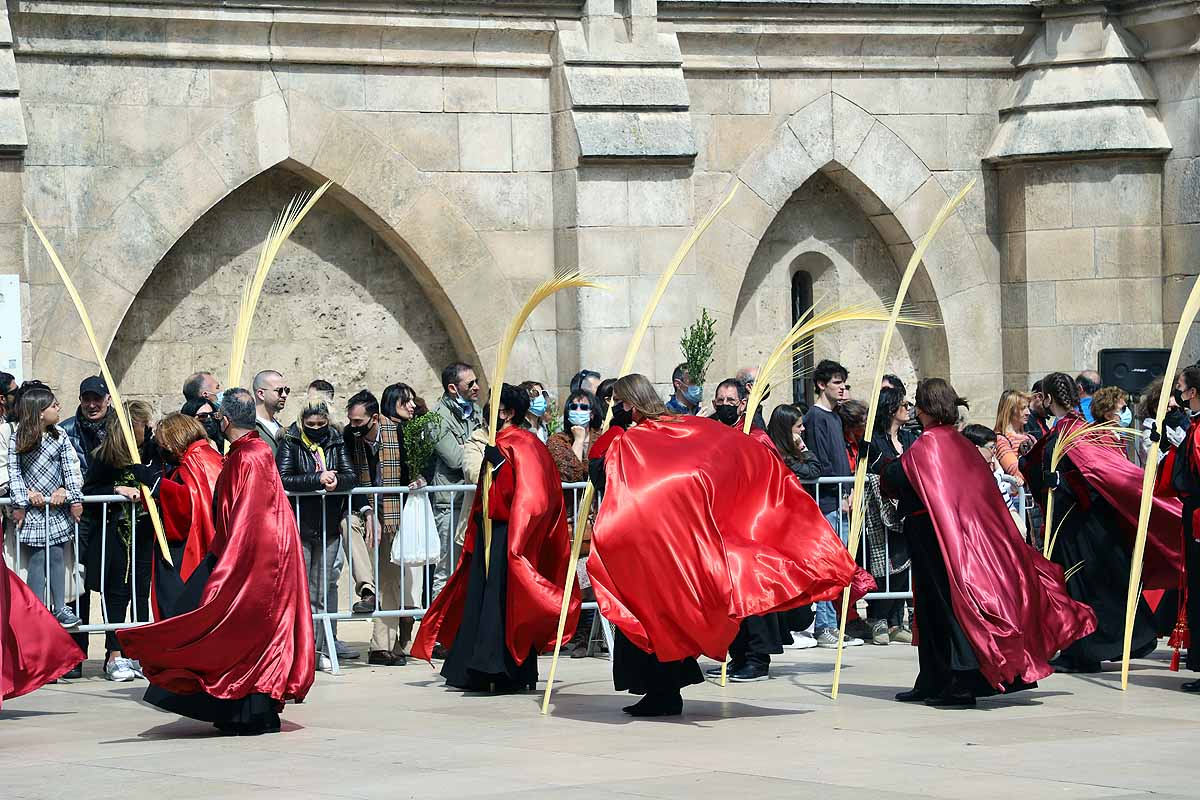 Fotos: La Borriquilla vuelve a recorrer las calles de Burgos