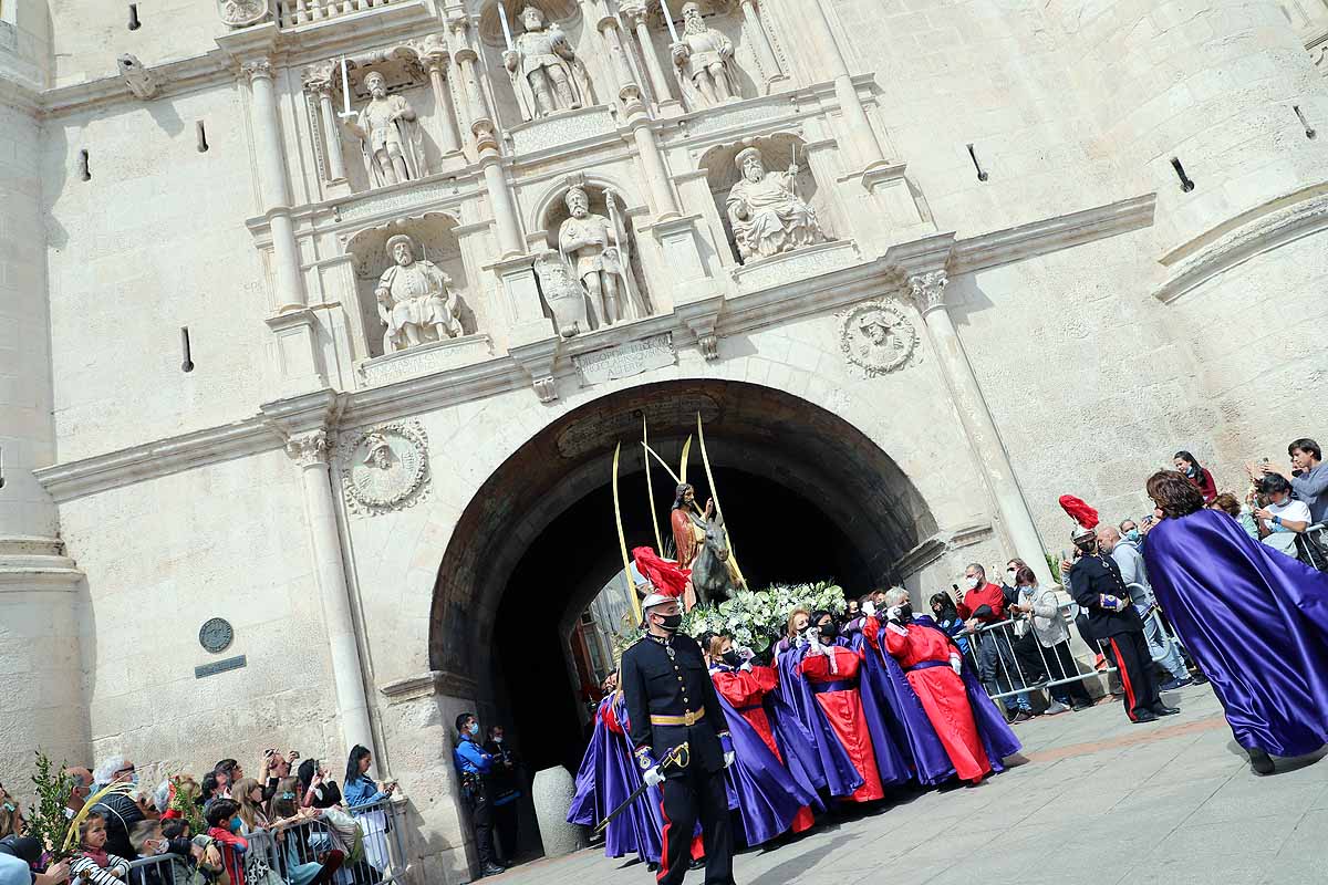 Fotos: Palmas en Burgos para recibir a La Borriquilla