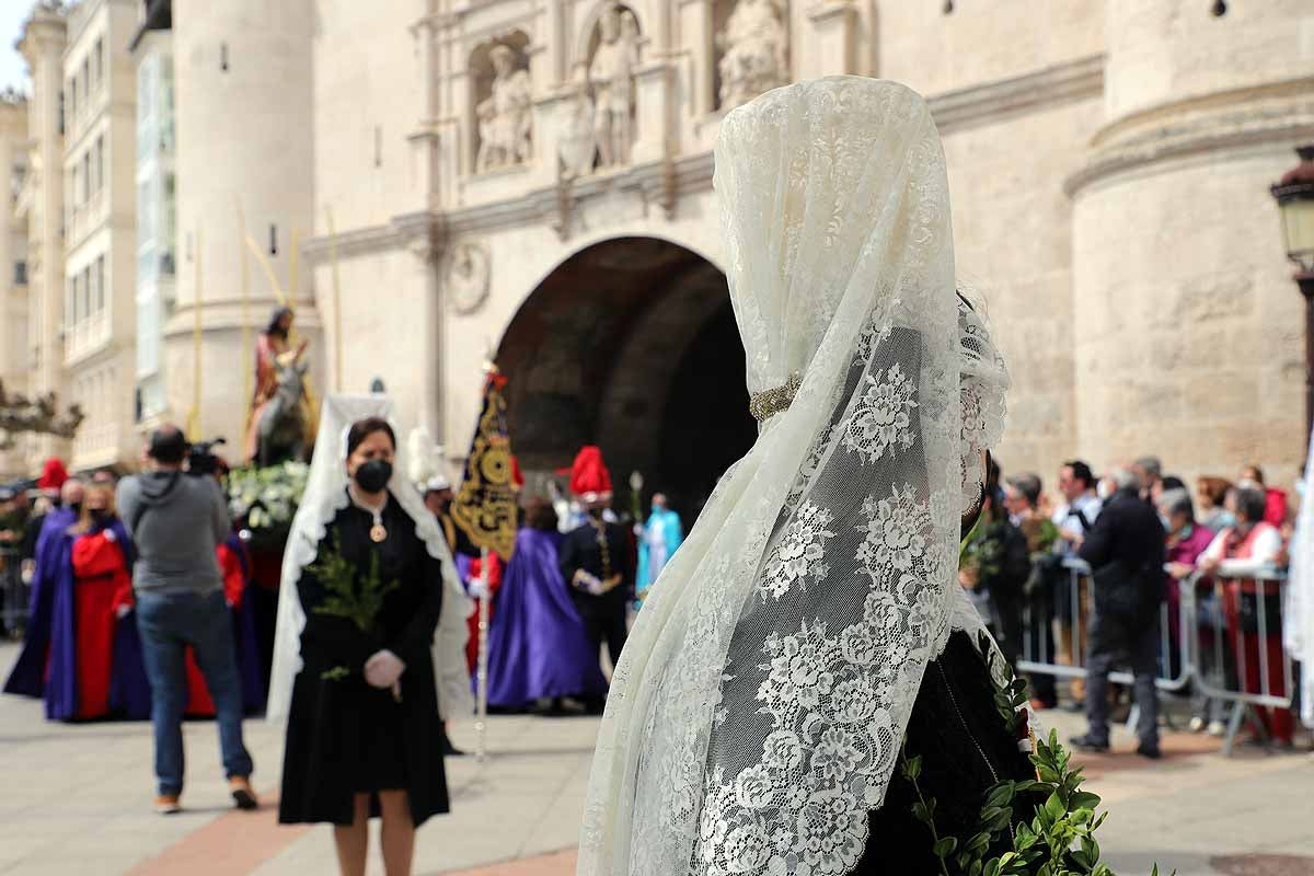 Fotos: Palmas en Burgos para recibir a La Borriquilla