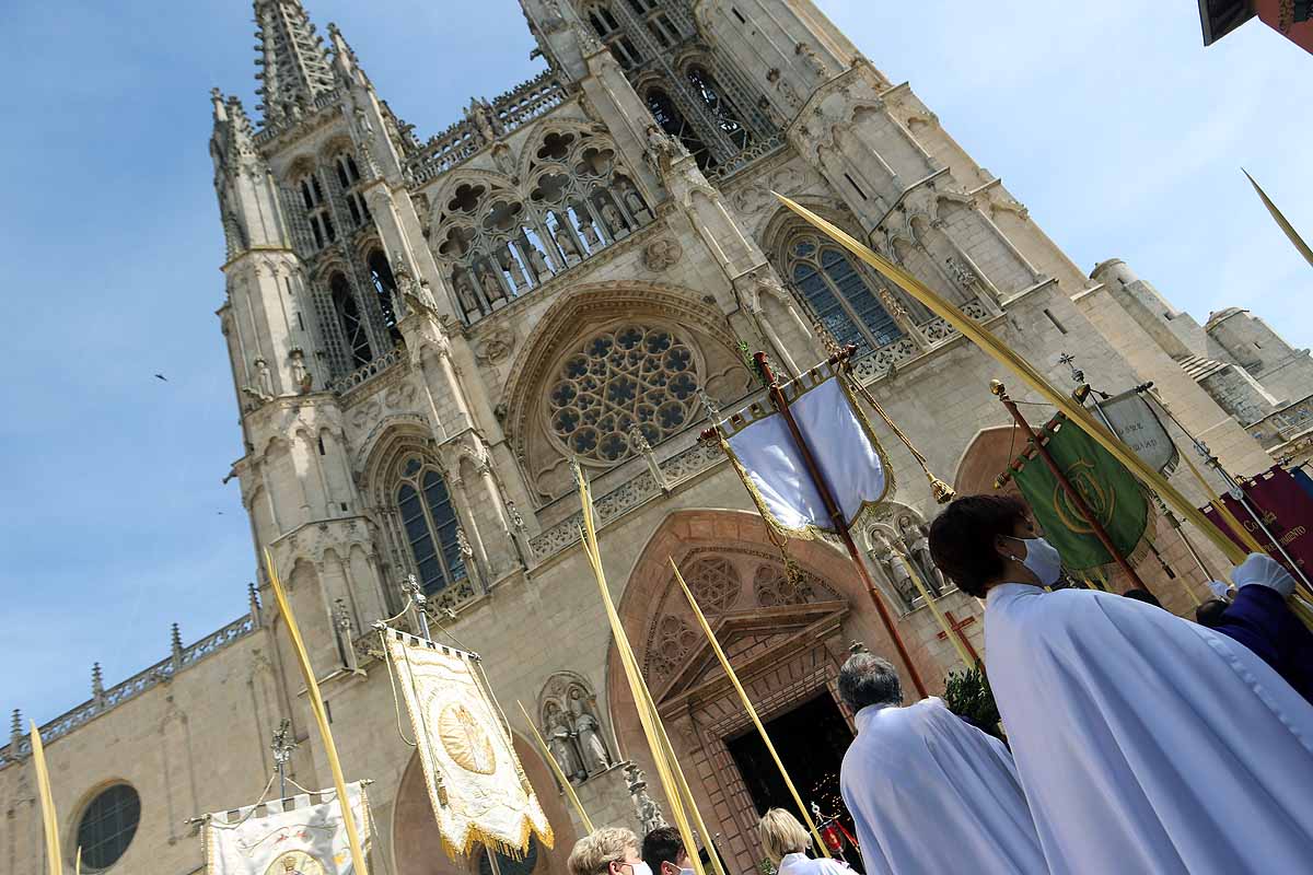 Fotos: Palmas en Burgos para recibir a La Borriquilla