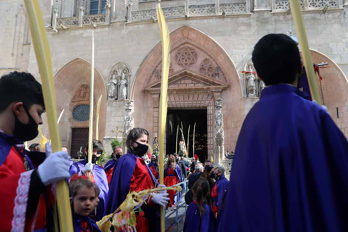 Fotos: Palmas en Burgos para recibir a La Borriquilla