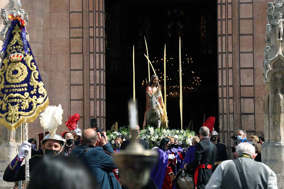 Fotos: Palmas en Burgos para recibir a La Borriquilla