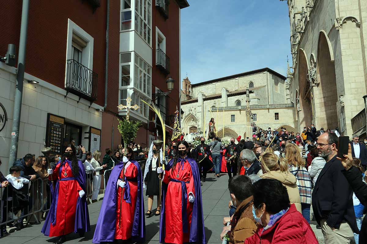 Fotos: Palmas en Burgos para recibir a La Borriquilla