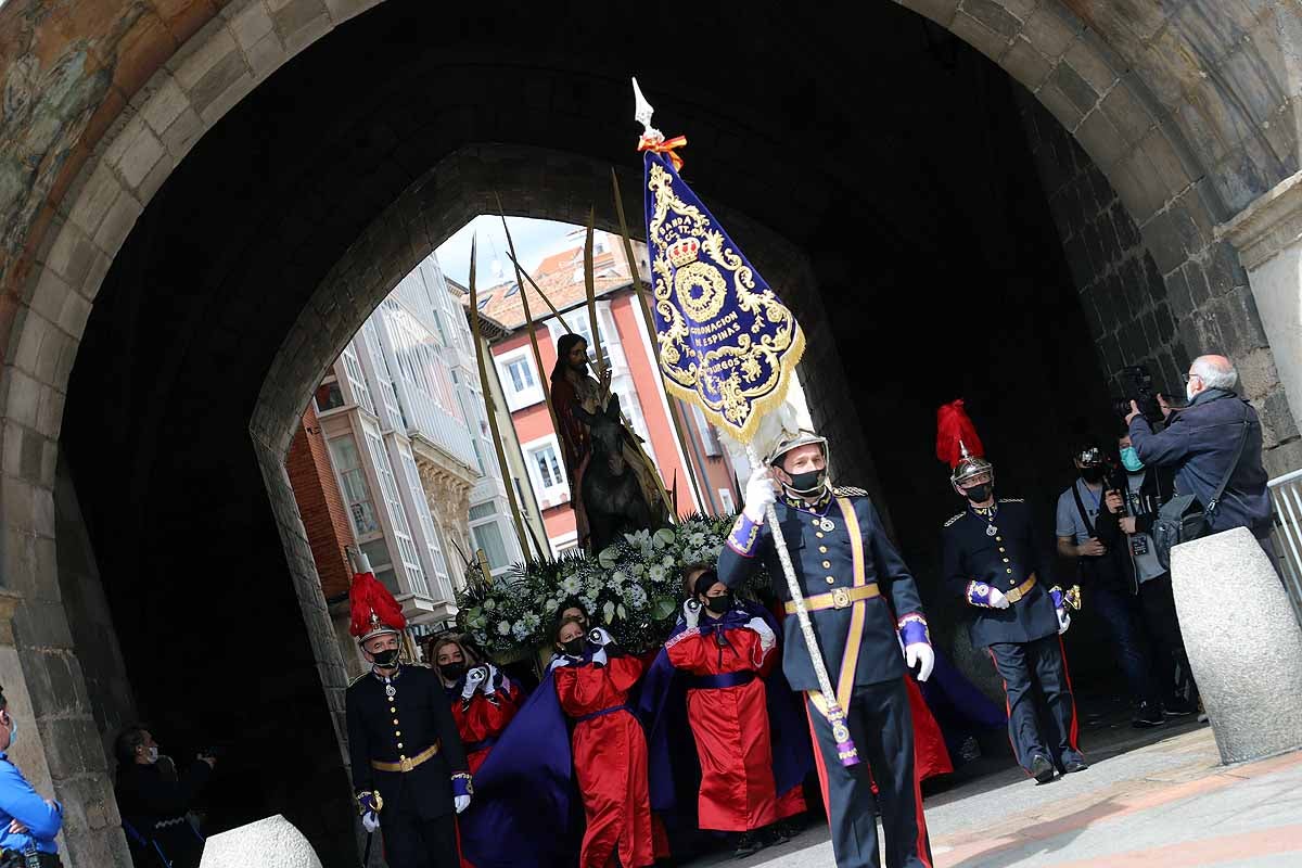 Fotos: Palmas en Burgos para recibir a La Borriquilla