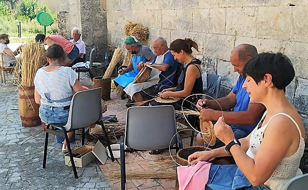 Imagen principal - Actividades organizadas por Visemca. 