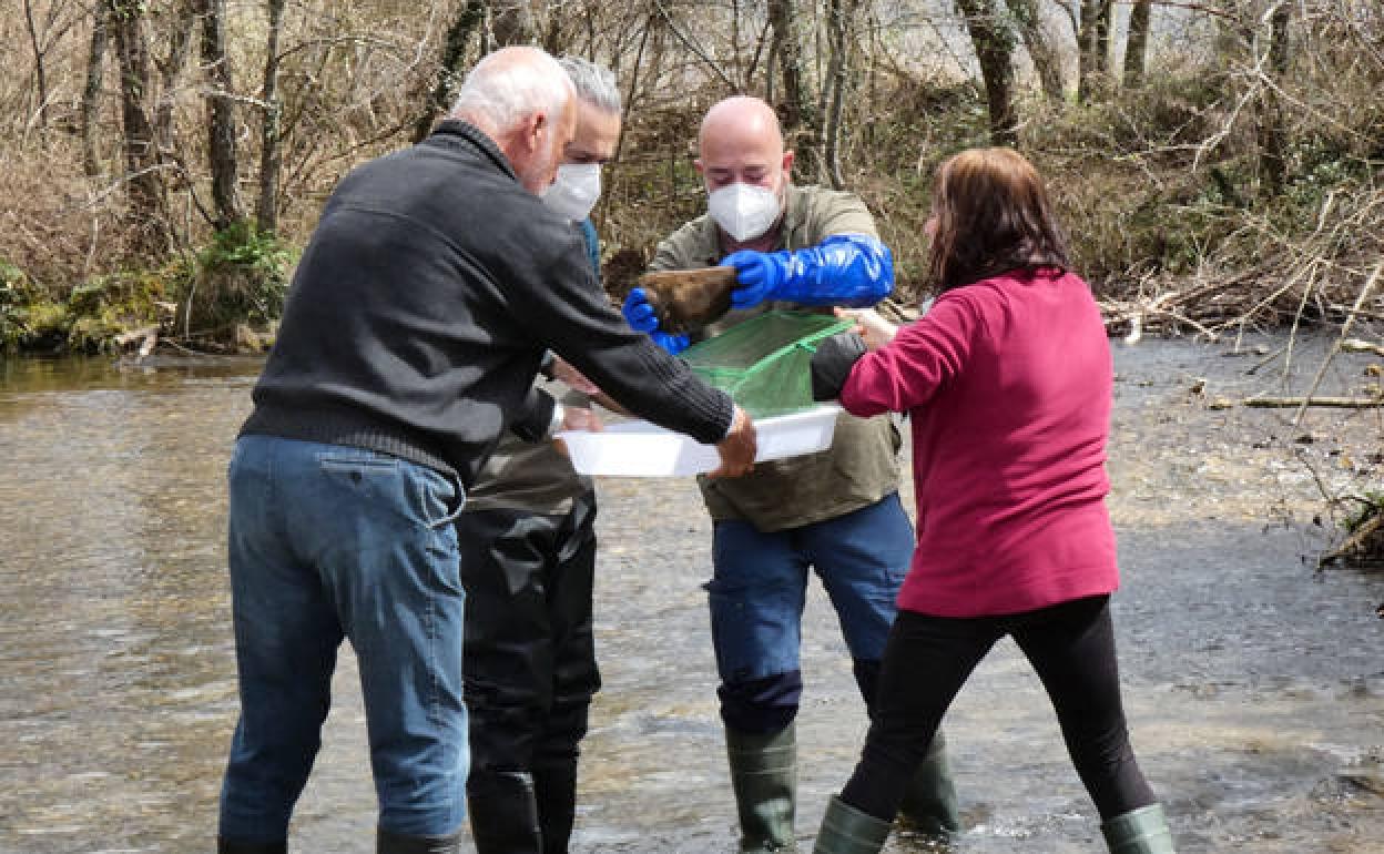Cuatro voluntarios cogen muestras del río, en una edición anterior. 