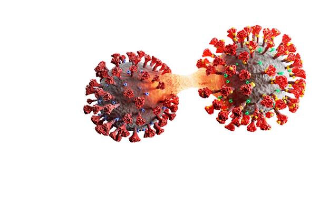 Se han detectado tres nuevas variantes de ómicron, la llamada XE es la más contagiosa.