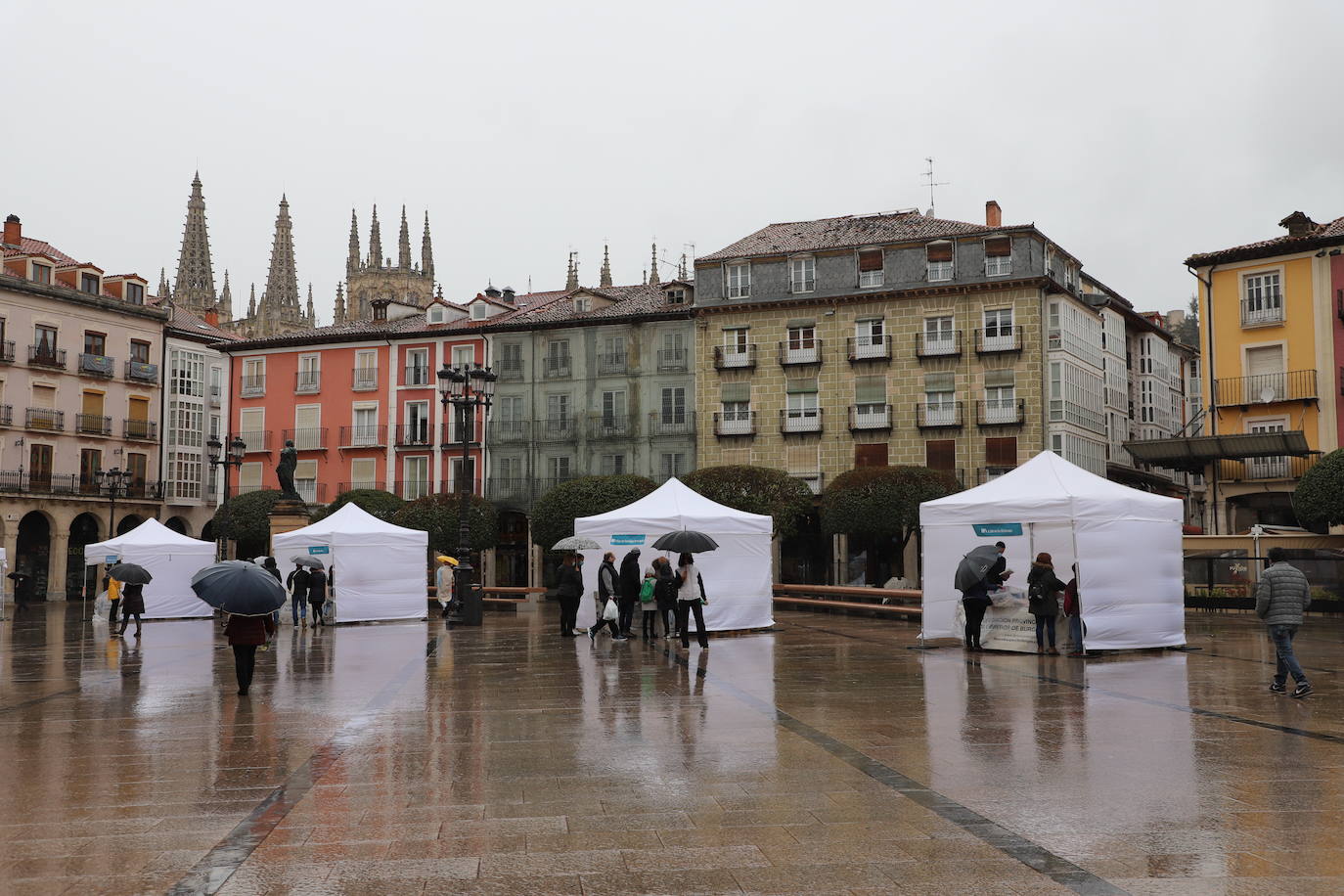 Fotos: La lluvia desluce el Día del Libro en Burgos