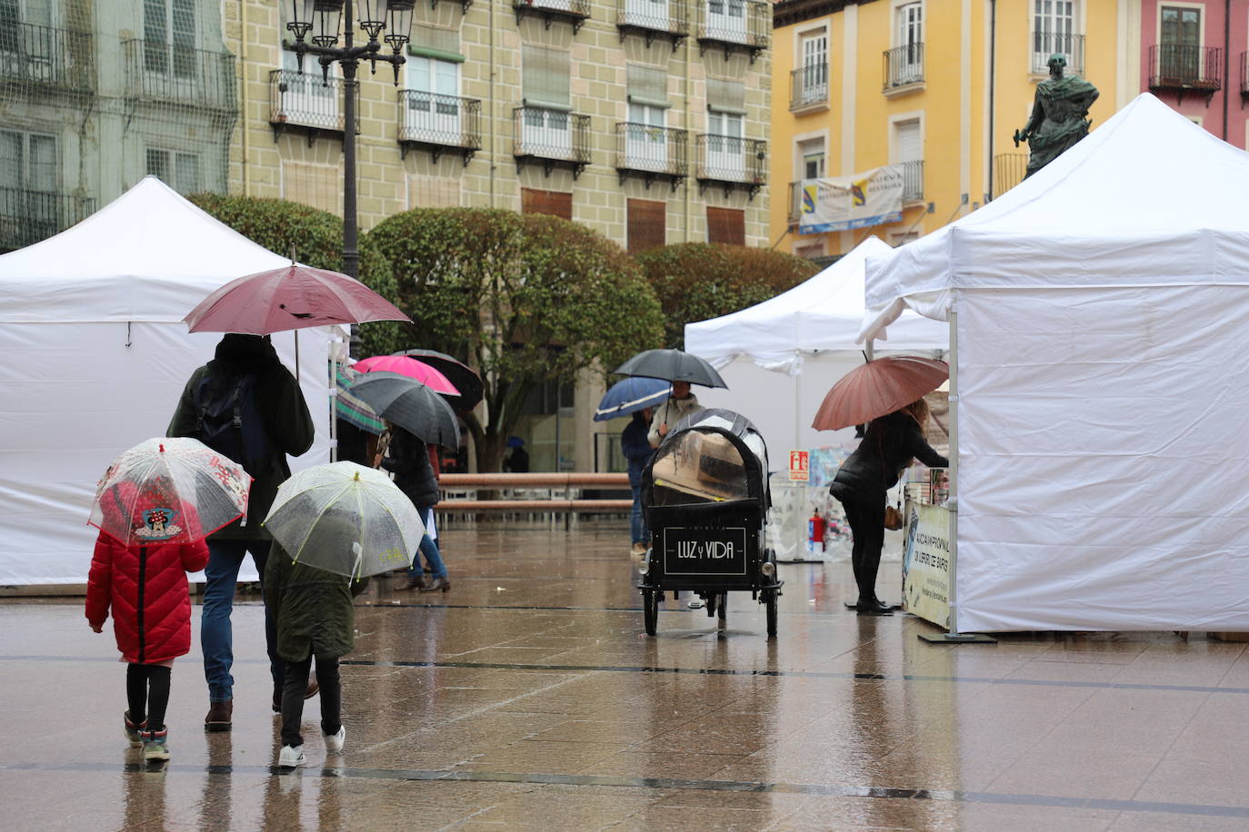 Fotos: La lluvia desluce el Día del Libro en Burgos