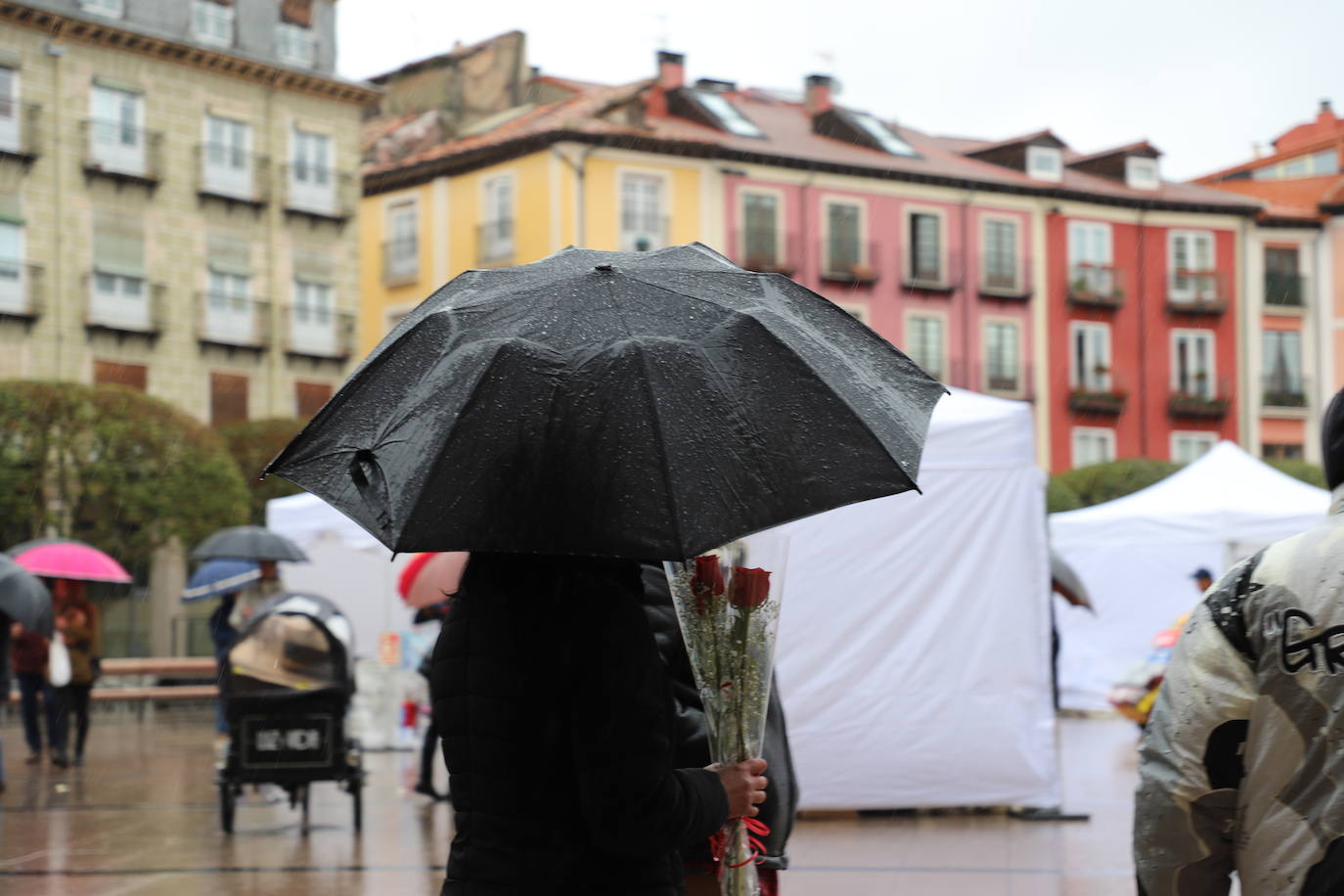 Fotos: La lluvia desluce el Día del Libro en Burgos