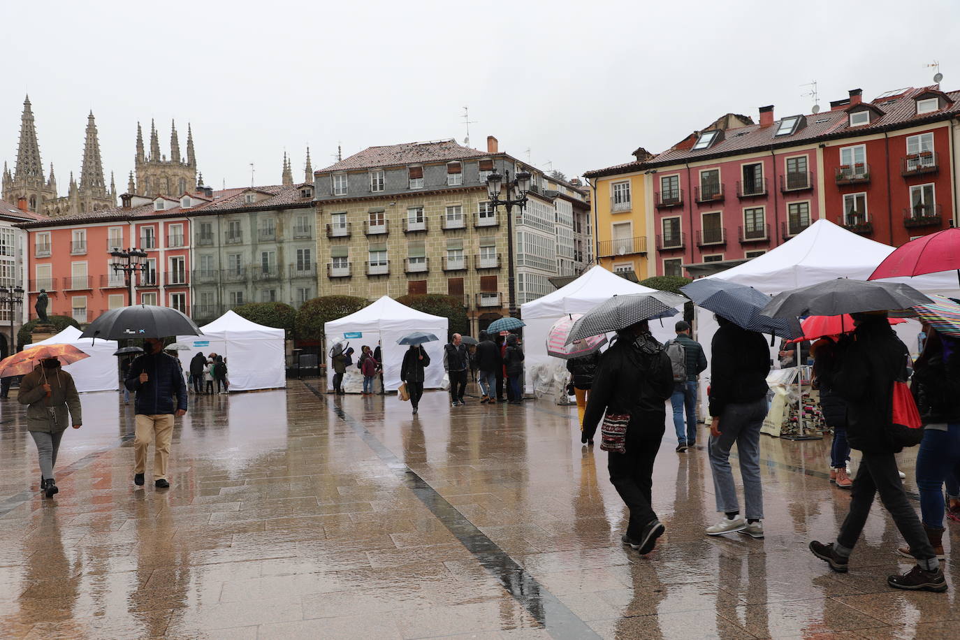 Fotos: La lluvia desluce el Día del Libro en Burgos