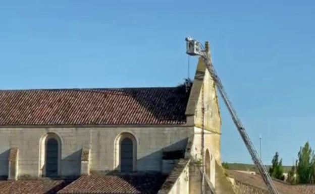 Los bomberos actuaron en el rescate de un nido en Las Huelgas.