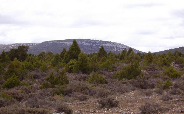 Tres rutas a pie o el bici para adentrarse en la Ribera del Duero